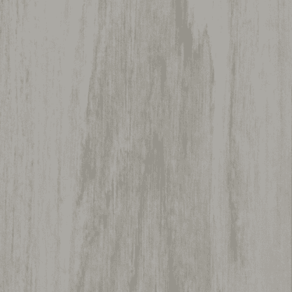 Driftwood 2cm SkyWalk Porcelain Paver - Wood Look Series